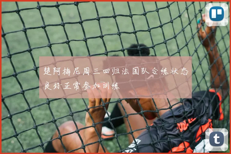 楚阿梅尼周三回归法国队合练状态良好正常参加训练