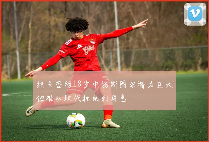 纽卡签约18岁中场斯图尔潜力巨大但难以取代托纳利角色